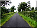 Scallen Road, Cabragh