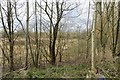 SO5056 : Marsh, Elms Green by Richard Webb