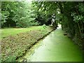 The moat, Priory Church of St Michael and St Felix [2]