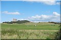 Berrow: church and golf course