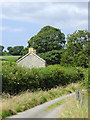 Narrow lane south-west of Swyddffynnon, Ceredigion