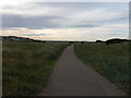 Eve Black Coastal Walkway, Seaton Sluice