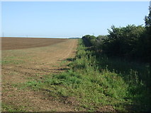 TF1898 : Farmland and hedgerow near Croxby by JThomas