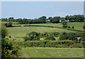 Ceredigion farmland south-west of Swyddffynnon