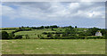 Ceredigion farmland south-west of Swyddffynnon