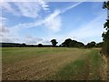 View from path towards Wilstead