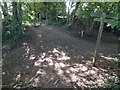 Footpath crosses bridleway west of Threal