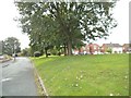 Winnall Close Green