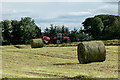 Silage baling near Woodland