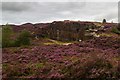 Hobson Moor Quarry