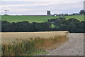 North Devon : Grassy Field