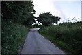 North Devon : Country Lane