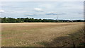 SO7999 : Field near Bridgnorth Plantation by Peter Whatley