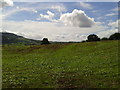 Fields near Little Hand farm