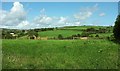 Farmland near Stockadon