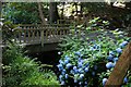 Footbridge over a stream in Bodnant Garden