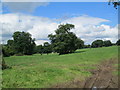 Field near Rudyard Manor