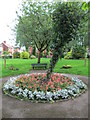 Flowers in Westwood Recreation Ground, Leek