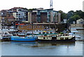 Boats moored along the River Thames