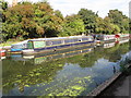 Emma, narrowboat on Paddington Branch canal