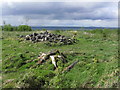 N4679 : Mullaghmeen Forest Walks - Cairn making Mullaghmeen summit with Lough Sheelin beyond by Colin Park