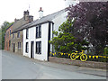 The yellow bikes of Langwathby (4)