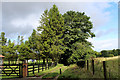 Back Lane leaving Charlcot