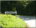 TM1667 : Bedingfield Village Name sign by Geographer