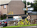 The yellow bikes of Langwathby (15)