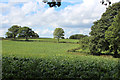 Crop field near Copley Farm