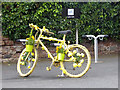 The yellow bikes of Melmerby (18)