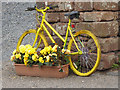 NY6137 : The yellow bikes of Melmerby (23) by Oliver Dixon