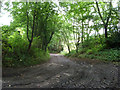 Long Heys or Back Lane leading to Lees Lane