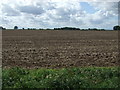 Field near Lambcroft Cottages