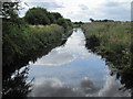 SJ5279 : Drainage Ditch Frodsham Marsh by Sue Adair