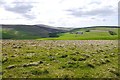 NT6965 : Rough grazing, Crichness Hill by Richard Webb