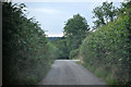 North Devon : Country Lane