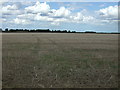 Farmland near Mill Farm