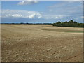 Stubble field off Station Road