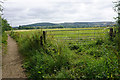 Path and field near Winchcombe