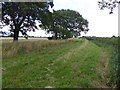 Bridleway to Wrancarr Farm