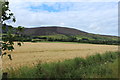 Farmland near Meadowfoot