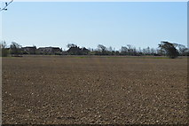 SZ8398 : Farmland by Highleigh Rd by N Chadwick