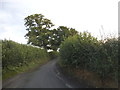 Plummers Lane north of Batford