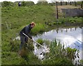 Dams to Darnley Country Park SUDS pond