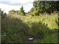 Footpath - Quarmby Road