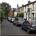 Dog and Pheasant, Shrewsbury 