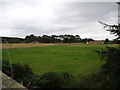 Across the fields to Morton