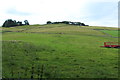 Farmland at Moniaive