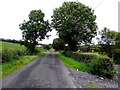 H2268 : Tirwinny Road, Drumkirk / Drumbaran by Kenneth  Allen